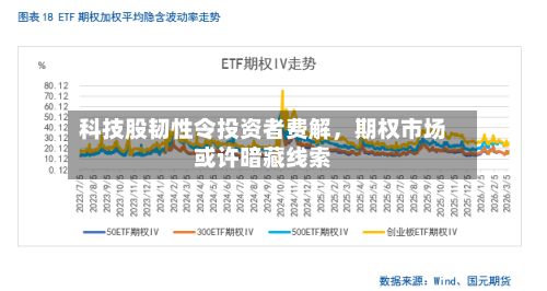 科技股韧性令投资者费解，期权市场或许暗藏线索-第3张图片