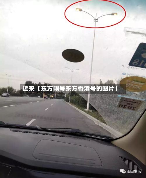 近来【东方限号东方香港号的图片】-第2张图片