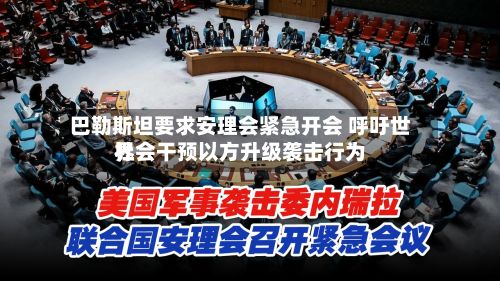 巴勒斯坦要求安理会紧急开会 呼吁世界社会干预以方升级袭击行为-第3张图片