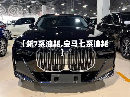 【新7系油耗,宝马七系油耗】-第2张图片