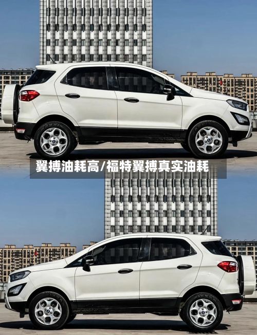 翼搏油耗高/福特翼搏真实油耗