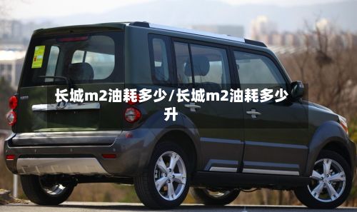 长城m2油耗多少/长城m2油耗多少升-第2张图片