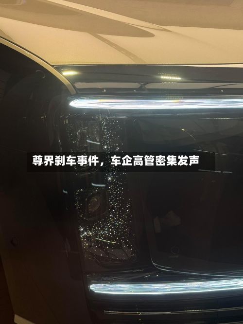 尊界刹车事件，车企高管密集发声-第3张图片