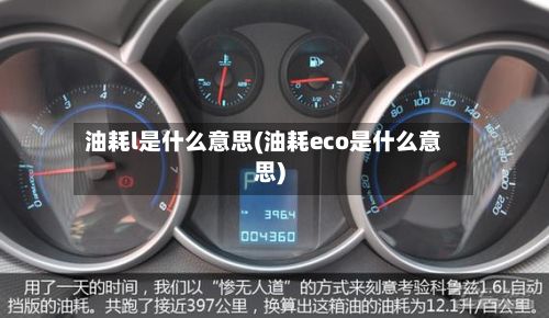 油耗l是什么意思(油耗eco是什么意思)-第3张图片