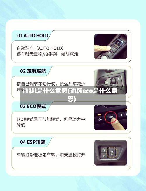 油耗l是什么意思(油耗eco是什么意思)-第2张图片