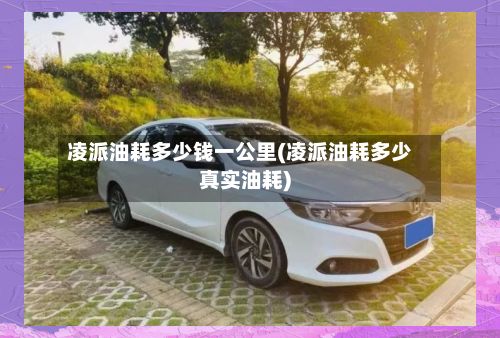 凌派油耗多少钱一公里(凌派油耗多少真实油耗)