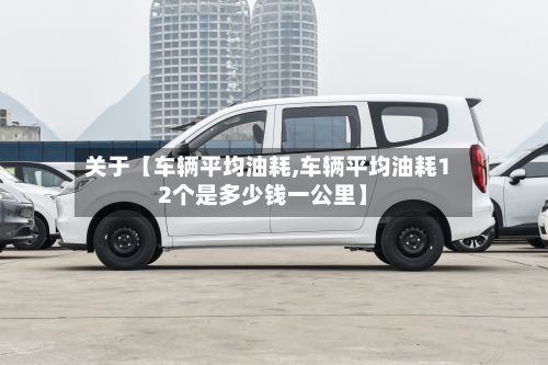 关于【车辆平均油耗,车辆平均油耗12个是多少钱一公里】-第2张图片