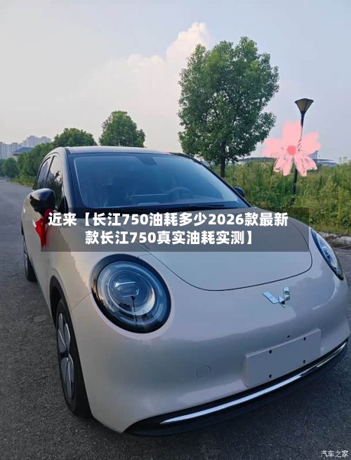 近来【长江750油耗多少2026款最新款长江750真实油耗实测】