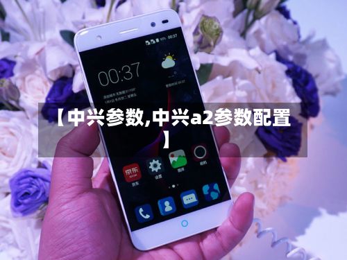 【中兴参数,中兴a2参数配置】-第2张图片
