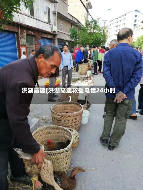 洪湖高速(洪湖高速救援电话24小时)-第3张图片