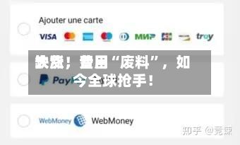 缺货，费用大涨！昔日“废料”，如今全球抢手！-第3张图片