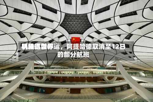 利雅得世界机场遇袭停运	，阿提哈德取消至12日的部分航班-第2张图片