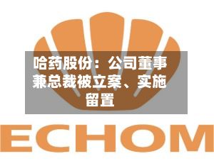 哈药股份：公司董事兼总裁被立案、实施留置