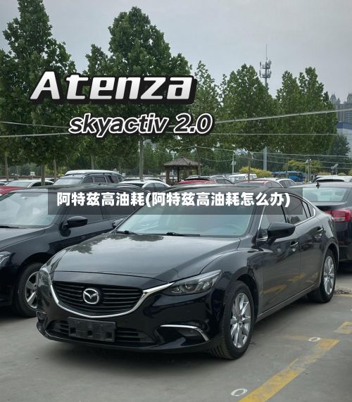 阿特兹高油耗(阿特兹高油耗怎么办)-第2张图片