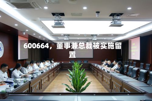 600664，董事兼总裁被实施留置