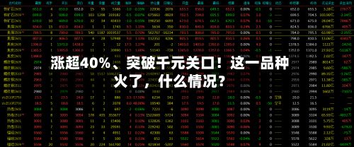 涨超40%、突破千元关口！这一品种火了，什么情况？-第3张图片