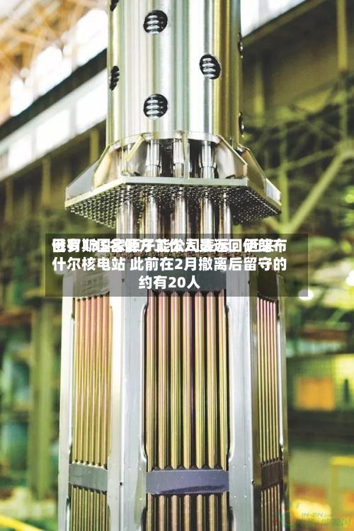 俄罗斯国家原子能公司表示：近来已有135名俄方工作人员返回伊朗布什尔核电站 此前在2月撤离后留守的约有20人