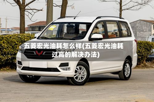 五菱宏光油耗怎么样(五菱宏光油耗过高的解决办法)-第2张图片