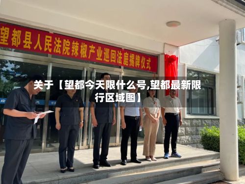 关于【望都今天限什么号,望都最新限行区域图】