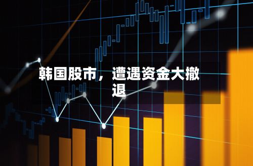 韩国股市	，遭遇资金大撤退-第2张图片