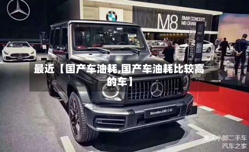 最近【国产车油耗,国产车油耗比较高的车】-第2张图片