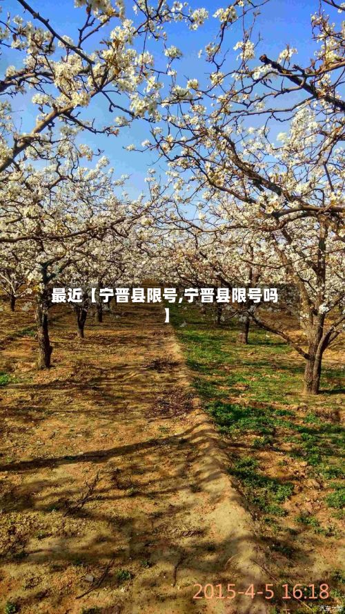 最近【宁晋县限号,宁晋县限号吗】-第2张图片
