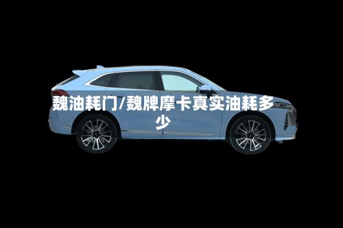 魏油耗门/魏牌摩卡真实油耗多少-第3张图片