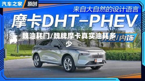 魏油耗门/魏牌摩卡真实油耗多少-第2张图片
