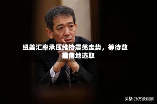 纽美汇率承压维持震荡走势，等待数据落地选取方向-第2张图片