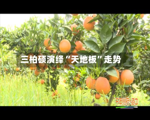 三柏硕演绎“天地板”走势