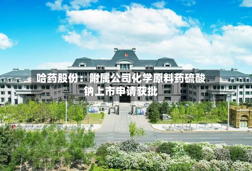 哈药股份：附属公司化学原料药硫酸钠上市申请获批