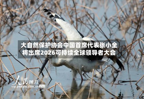 大自然保护协会中国首席代表张小全将出席2026可持续全球领导者大会