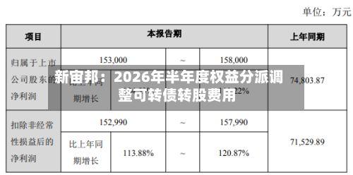 新宙邦：2026年半年度权益分派调整可转债转股费用