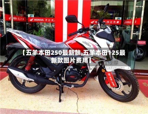 【五羊本田250最新款,五羊本田125最新款图片费用】