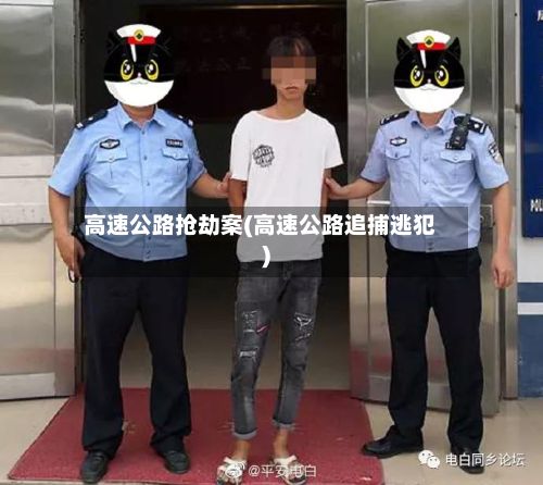 高速公路抢劫案(高速公路追捕逃犯)