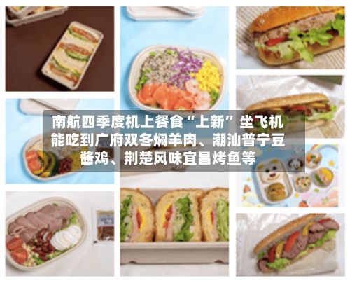 南航四季度机上餐食“上新” 坐飞机能吃到广府双冬焖羊肉、潮汕普宁豆酱鸡	、荆楚风味宜昌烤鱼等-第2张图片