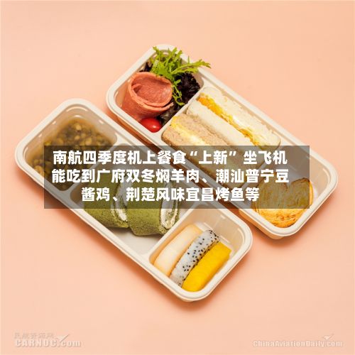 南航四季度机上餐食“上新	” 坐飞机能吃到广府双冬焖羊肉、潮汕普宁豆酱鸡	、荆楚风味宜昌烤鱼等-第3张图片
