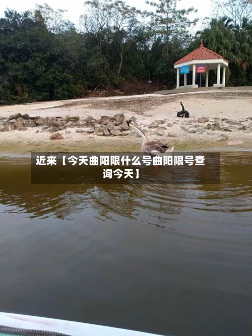近来【今天曲阳限什么号曲阳限号查询今天】