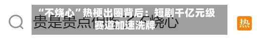 “不烧心”热梗出圈背后：短剧千亿元级赛道加速洗牌-第2张图片