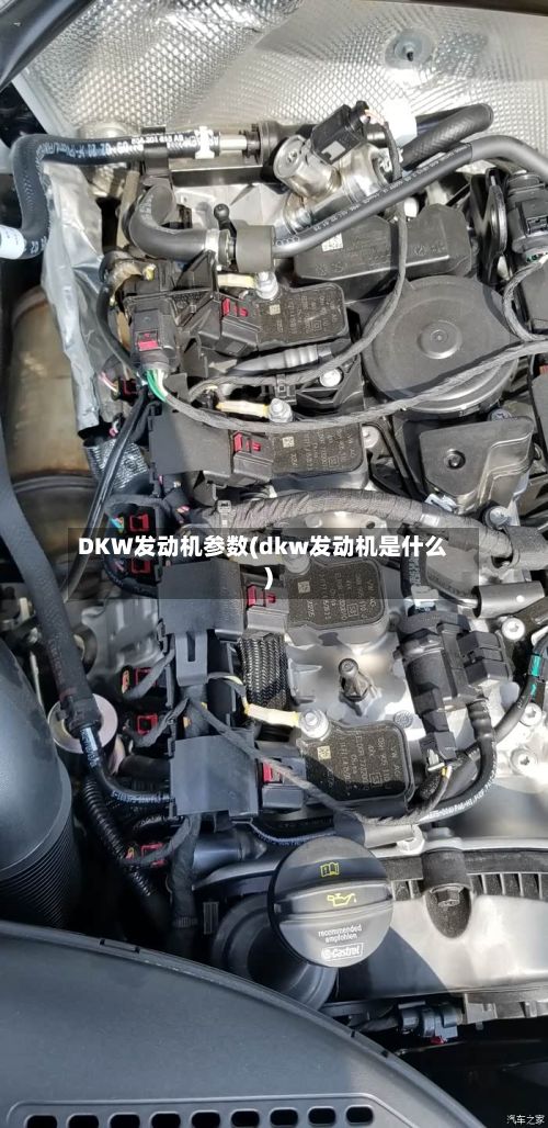 DKW发动机参数(dkw发动机是什么)-第2张图片