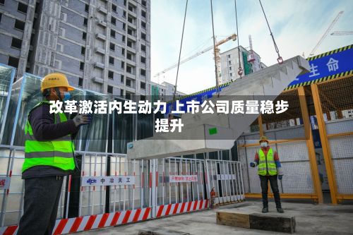 改革激活内生动力 上市公司质量稳步提升-第3张图片