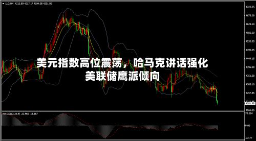美元指数高位震荡，哈马克讲话强化美联储鹰派倾向