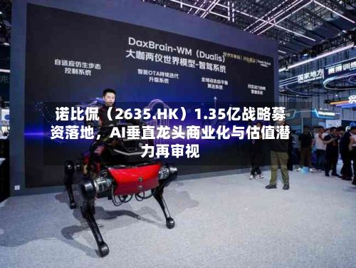 诺比侃（2635.HK）1.35亿战略募资落地，AI垂直龙头商业化与估值潜力再审视