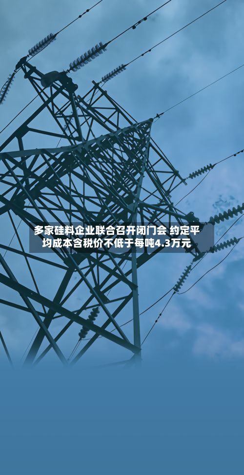 多家硅料企业联合召开闭门会 约定平均成本含税价不低于每吨4.3万元-第2张图片