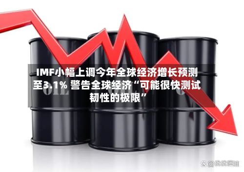 IMF小幅上调今年全球经济增长预测至3.1% 警告全球经济“可能很快测试韧性的极限”-第2张图片