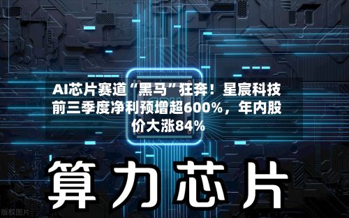 AI芯片赛道“黑马”狂奔！星宸科技前三季度净利预增超600%，年内股价大涨84%