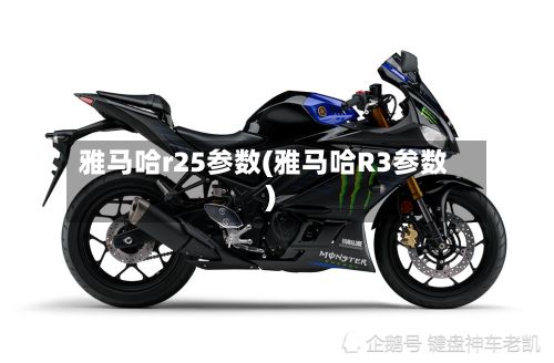 雅马哈r25参数(雅马哈R3参数)