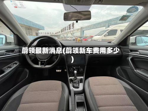 蔚领最新消息(蔚领新车费用多少)-第3张图片