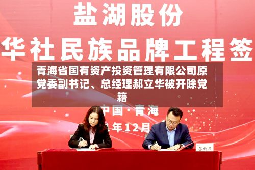 青海省国有资产投资管理有限公司原党委副书记、总经理郝立华被开除党籍-第2张图片