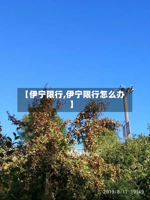 【伊宁限行,伊宁限行怎么办】-第3张图片